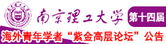 www.cncaiyi168.com南京理工大学第十四届海外青年学者紫金论坛诚邀海内外英才！
